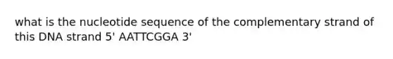 what is the nucleotide sequence of the complementary strand of this DNA strand 5' AATTCGGA 3'