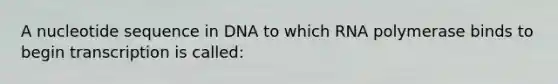 A nucleotide sequence in DNA to which RNA polymerase binds to begin transcription is called: