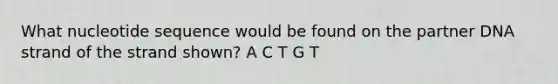 What nucleotide sequence would be found on the partner DNA strand of the strand shown? A C T G T