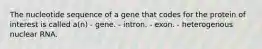 The nucleotide sequence of a gene that codes for the protein of interest is called a(n) - gene. - intron. - exon. - heterogenous nuclear RNA.