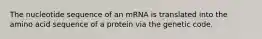 The nucleotide sequence of an mRNA is translated into the amino acid sequence of a protein via the genetic code.