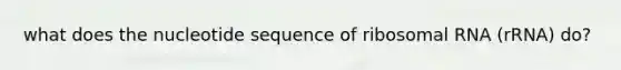 what does the nucleotide sequence of ribosomal RNA (rRNA) do?