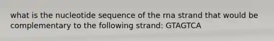 what is the nucleotide sequence of the rna strand that would be complementary to the following strand: GTAGTCA