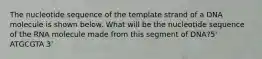 The nucleotide sequence of the template strand of a DNA molecule is shown below. What will be the nucleotide sequence of the RNA molecule made from this segment of DNA?5' ATGCGTA 3'