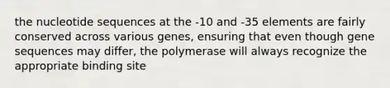 the nucleotide sequences at the -10 and -35 elements are fairly conserved across various genes, ensuring that even though gene sequences may differ, the polymerase will always recognize the appropriate binding site