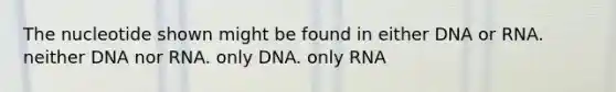 The nucleotide shown might be found in either DNA or RNA. neither DNA nor RNA. only DNA. only RNA