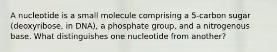 A nucleotide is a small molecule comprising a 5-carbon sugar (deoxyribose, in DNA), a phosphate group, and a nitrogenous base. What distinguishes one nucleotide from another?