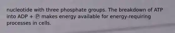 nucleotide with three phosphate groups. The breakdown of ATP into ADP + Ⓟ makes energy available for energy-requiring processes in cells.