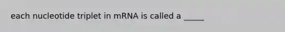 each nucleotide triplet in mRNA is called a _____