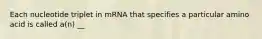 Each nucleotide triplet in mRNA that specifies a particular amino acid is called a(n) __