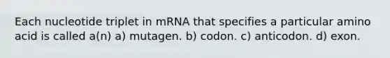 Each nucleotide triplet in mRNA that specifies a particular amino acid is called a(n) a) mutagen. b) codon. c) anticodon. d) exon.