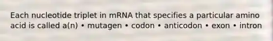 Each nucleotide triplet in mRNA that specifies a particular amino acid is called a(n) • mutagen • codon • anticodon • exon • intron