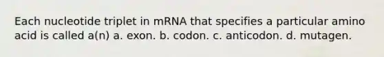 Each nucleotide triplet in mRNA that specifies a particular amino acid is called a(n) a. exon. b. codon. c. anticodon. d. mutagen.