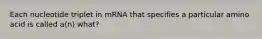 Each nucleotide triplet in mRNA that specifies a particular amino acid is called a(n) what?