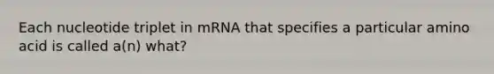 Each nucleotide triplet in mRNA that specifies a particular amino acid is called a(n) what?