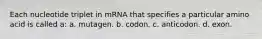 Each nucleotide triplet in mRNA that specifies a particular amino acid is called a: a. mutagen. b. codon. c. anticodon. d. exon.