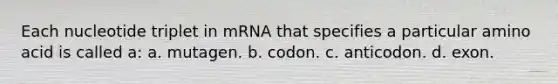 Each nucleotide triplet in mRNA that specifies a particular amino acid is called a: a. mutagen. b. codon. c. anticodon. d. exon.