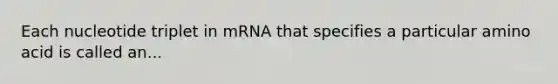 Each nucleotide triplet in mRNA that specifies a particular amino acid is called an...