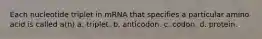 Each nucleotide triplet in mRNA that specifies a particular amino acid is called a(n) a. triplet. b. anticodon. c. codon. d. protein.