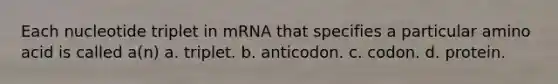 Each nucleotide triplet in mRNA that specifies a particular amino acid is called a(n) a. triplet. b. anticodon. c. codon. d. protein.