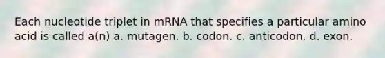 Each nucleotide triplet in mRNA that specifies a particular amino acid is called a(n) a. mutagen. b. codon. c. anticodon. d. exon.