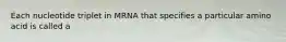 Each nucleotide triplet in MRNA that specifies a particular amino acid is called a