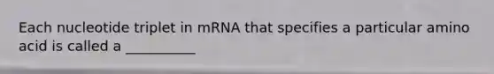 Each nucleotide triplet in mRNA that specifies a particular amino acid is called a __________