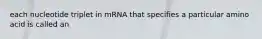 each nucleotide triplet in mRNA that specifies a particular amino acid is called an