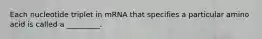 Each nucleotide triplet in mRNA that specifies a particular amino acid is called a _________.