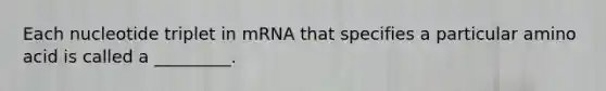 Each nucleotide triplet in mRNA that specifies a particular amino acid is called a _________.