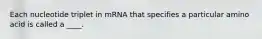 Each nucleotide triplet in mRNA that specifies a particular amino acid is called a ____.