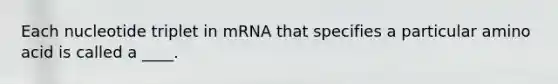 Each nucleotide triplet in mRNA that specifies a particular amino acid is called a ____.