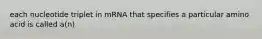 each nucleotide triplet in mRNA that specifies a particular amino acid is called a(n)