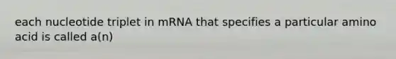 each nucleotide triplet in mRNA that specifies a particular amino acid is called a(n)