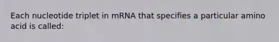 Each nucleotide triplet in mRNA that specifies a particular amino acid is called: