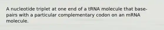 A nucleotide triplet at one end of a tRNA molecule that base-pairs with a particular complementary codon on an mRNA molecule.