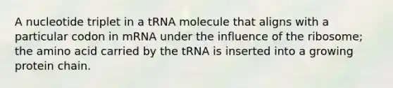 A nucleotide triplet in a tRNA molecule that aligns with a particular codon in mRNA under the influence of the ribosome; the amino acid carried by the tRNA is inserted into a growing protein chain.