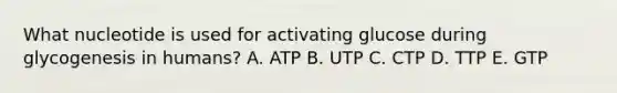 What nucleotide is used for activating glucose during glycogenesis in humans? A. ATP B. UTP C. CTP D. TTP E. GTP