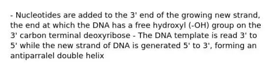 - Nucleotides are added to the 3' end of the growing new strand, the end at which the DNA has a free hydroxyl (-OH) group on the 3' carbon terminal deoxyribose - The DNA template is read 3' to 5' while the new strand of DNA is generated 5' to 3', forming an antiparralel double helix