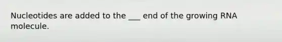 Nucleotides are added to the ___ end of the growing RNA molecule.