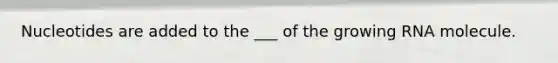 Nucleotides are added to the ___ of the growing RNA molecule.