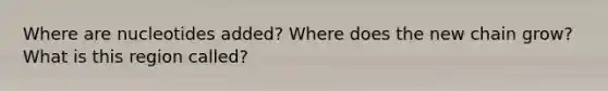 Where are nucleotides added? Where does the new chain grow? What is this region called?