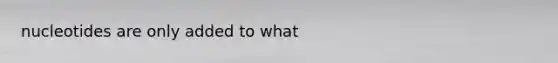 nucleotides are only added to what