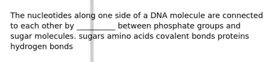 The nucleotides along one side of a DNA molecule are connected to each other by __________ between phosphate groups and sugar molecules. sugars amino acids covalent bonds proteins hydrogen bonds