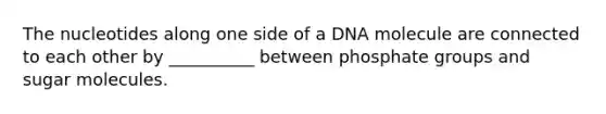 The nucleotides along one side of a DNA molecule are connected to each other by __________ between phosphate groups and sugar molecules.