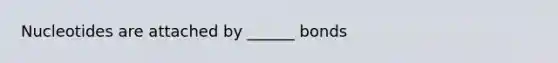 Nucleotides are attached by ______ bonds