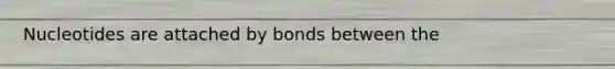 Nucleotides are attached by bonds between the