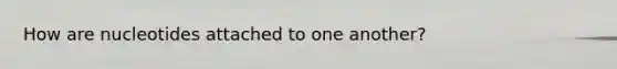 How are nucleotides attached to one another?