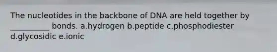 The nucleotides in the backbone of DNA are held together by __________ bonds. a.hydrogen b.peptide c.phosphodiester d.glycosidic e.ionic