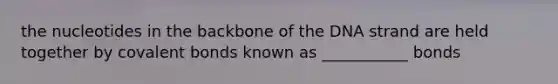 the nucleotides in the backbone of the DNA strand are held together by <a href='https://www.questionai.com/knowledge/kWply8IKUM-covalent-bonds' class='anchor-knowledge'>covalent bonds</a> known as ___________ bonds